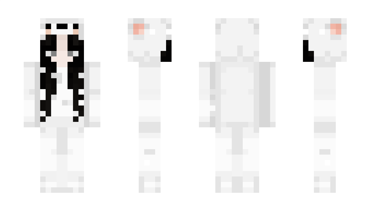 Pokinometry Minecraft Skin