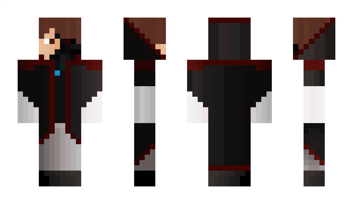 enderflash14 Minecraft Skin