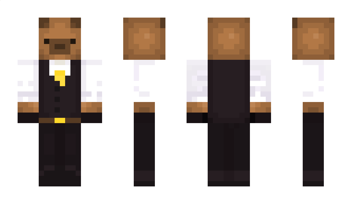 VolatileStorm Minecraft Skin