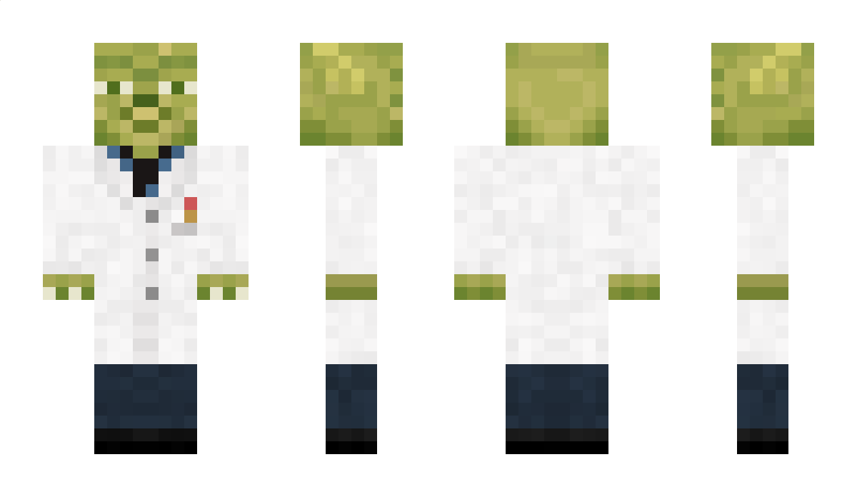 asilkanw_ Minecraft Skin