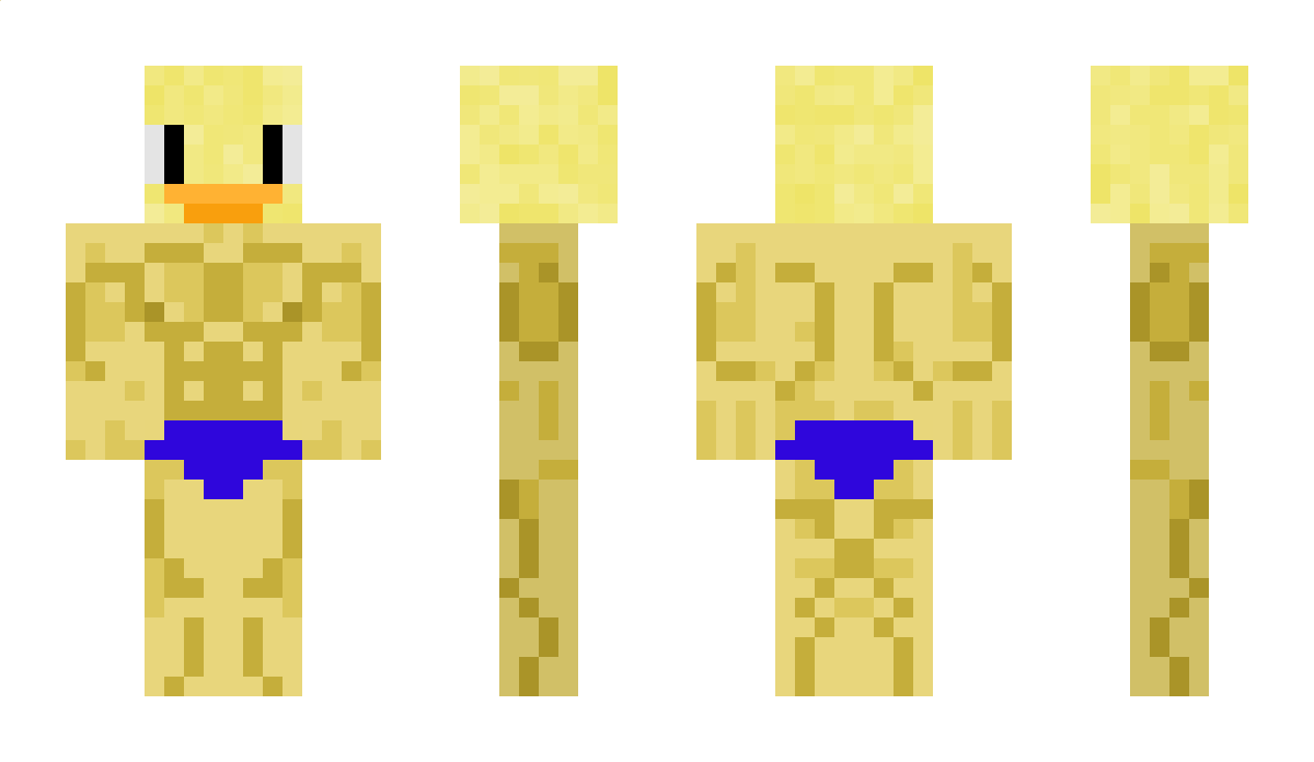 duckyboy13254 Minecraft Skin