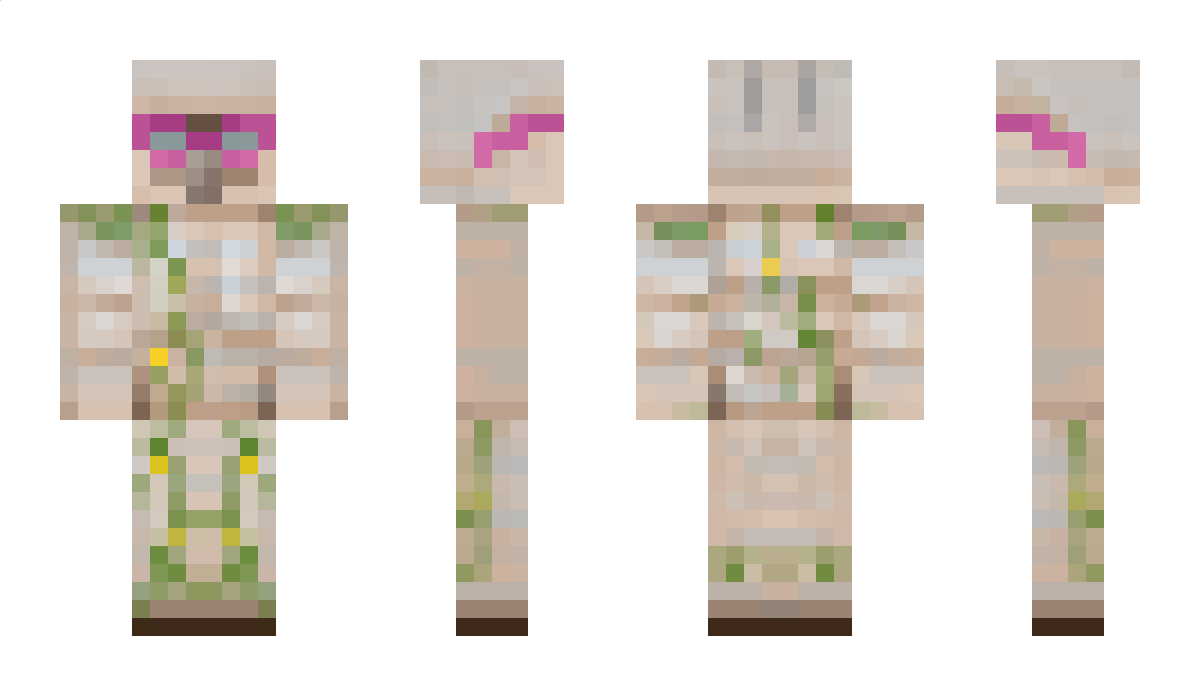 Bearsley Minecraft Skin