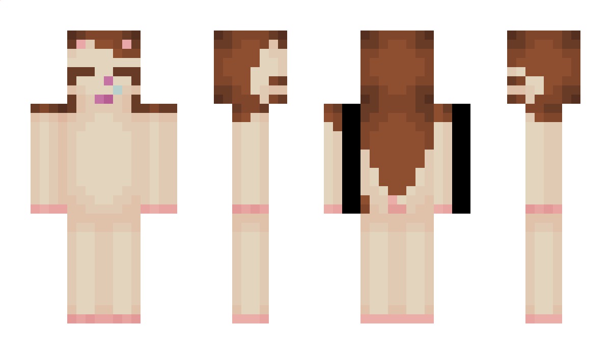 hamtory123 Minecraft Skin