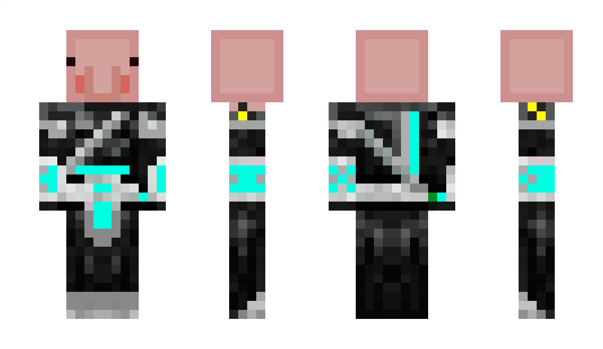 litzr155 Minecraft Skin