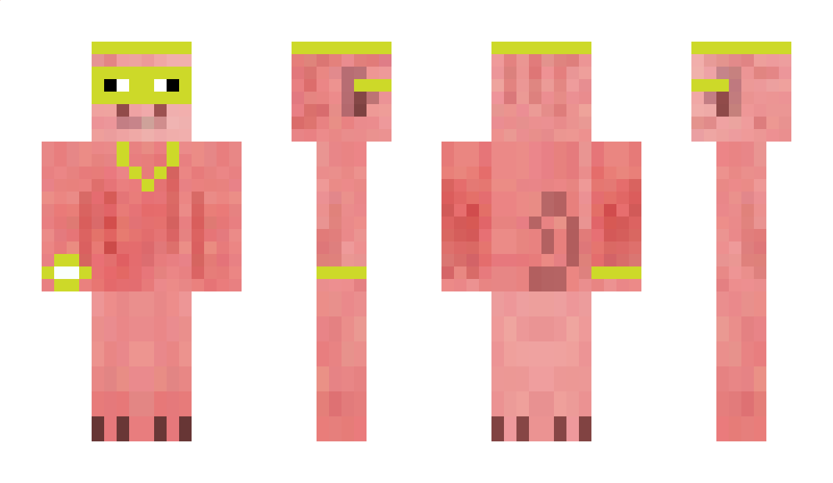 NipaProo Minecraft Skin