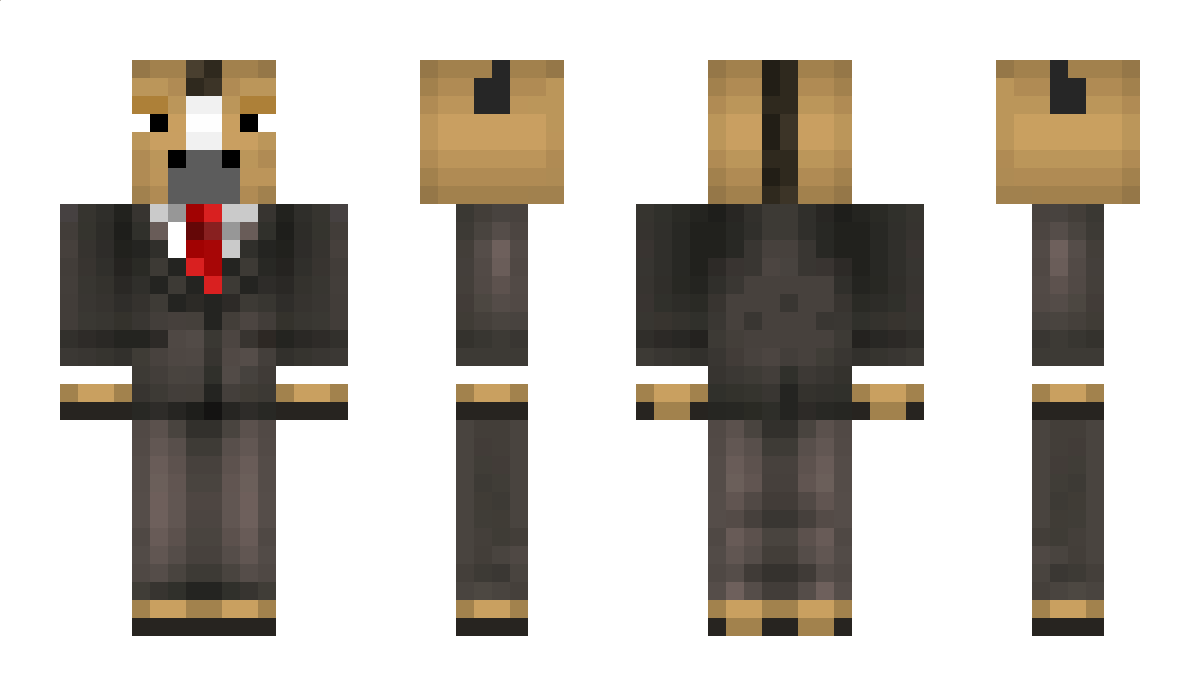 Sijns Minecraft Skin