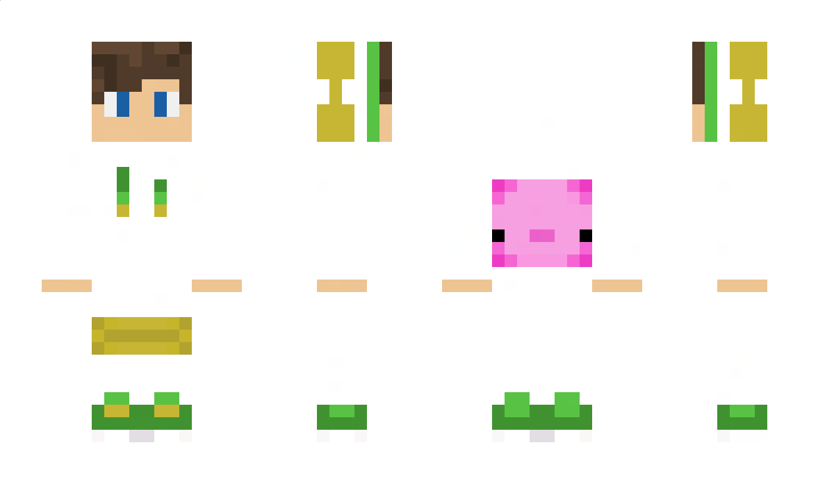 Axo11 Minecraft Skin