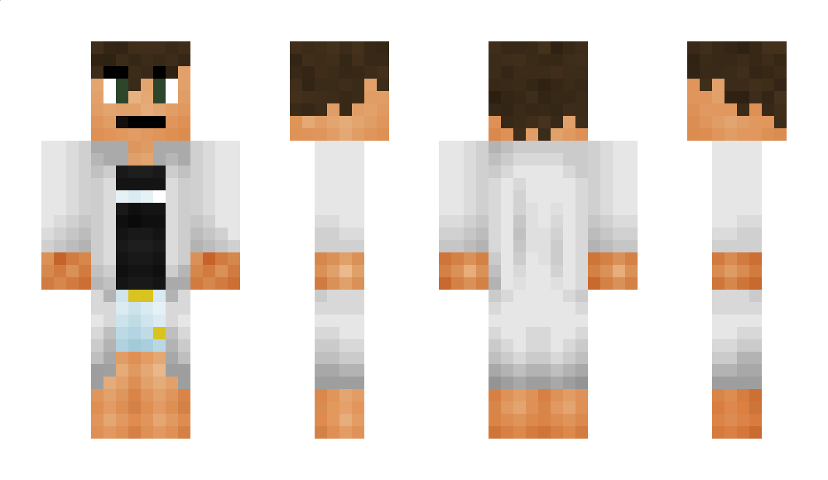 Techtastisch Minecraft Skin