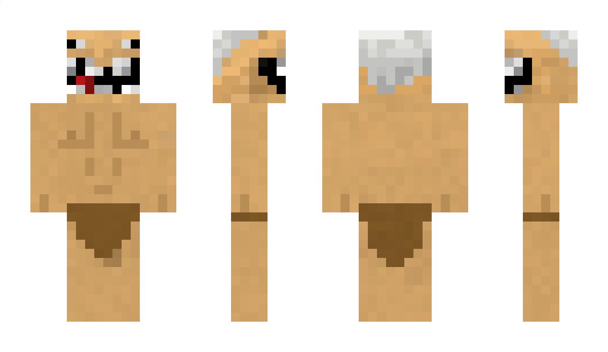 thesilverling Minecraft Skin