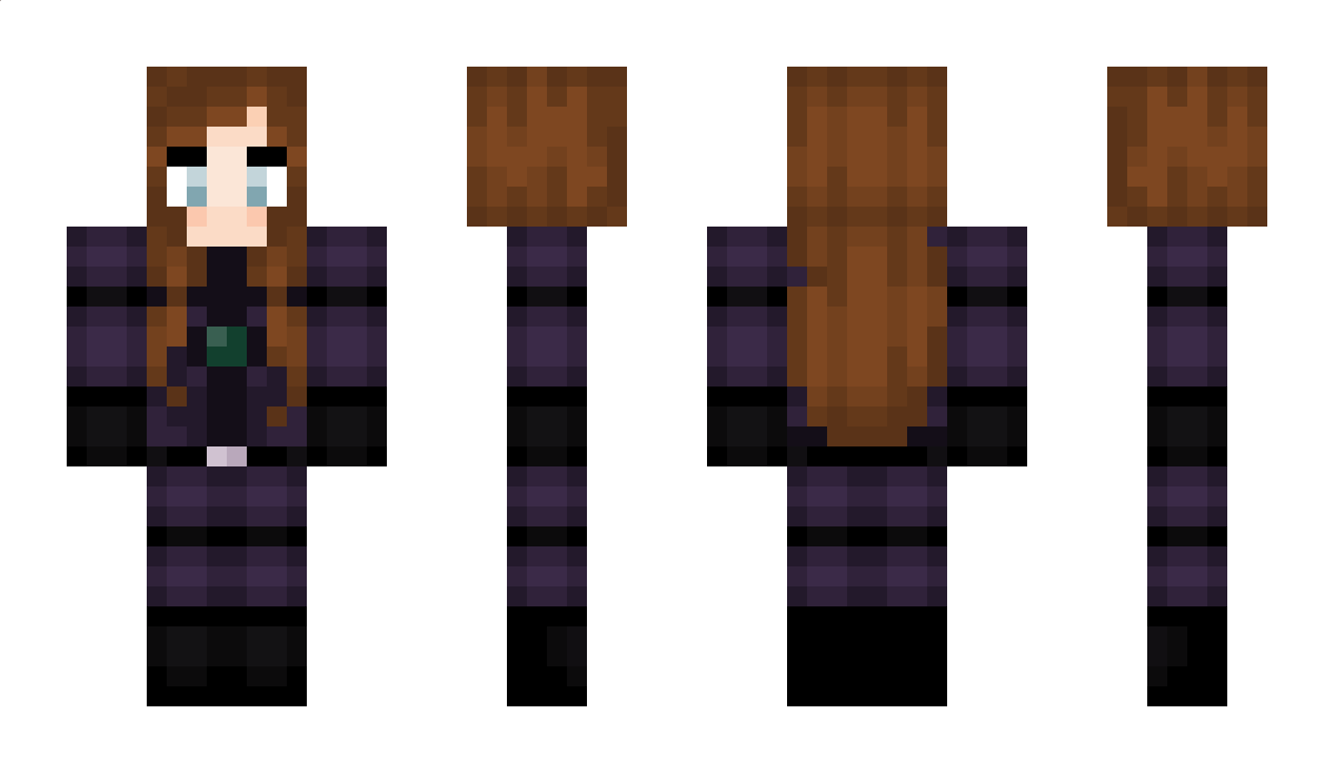 EnderWarriorV Minecraft Skin