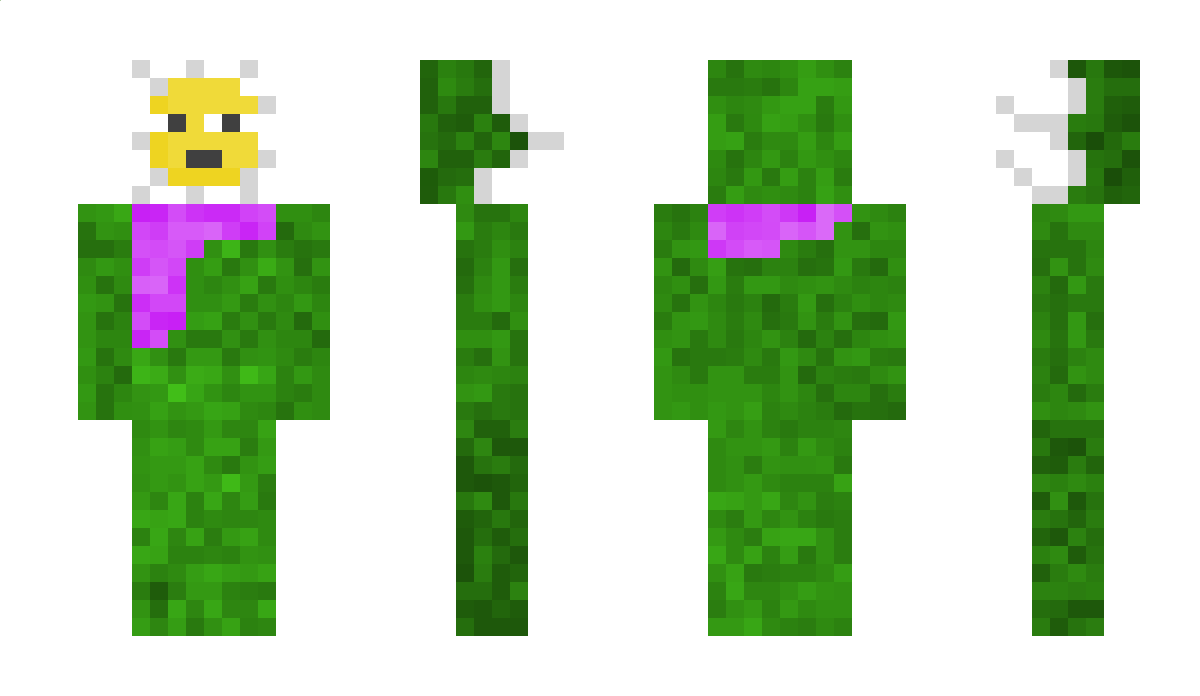 Ifdcra Minecraft Skin