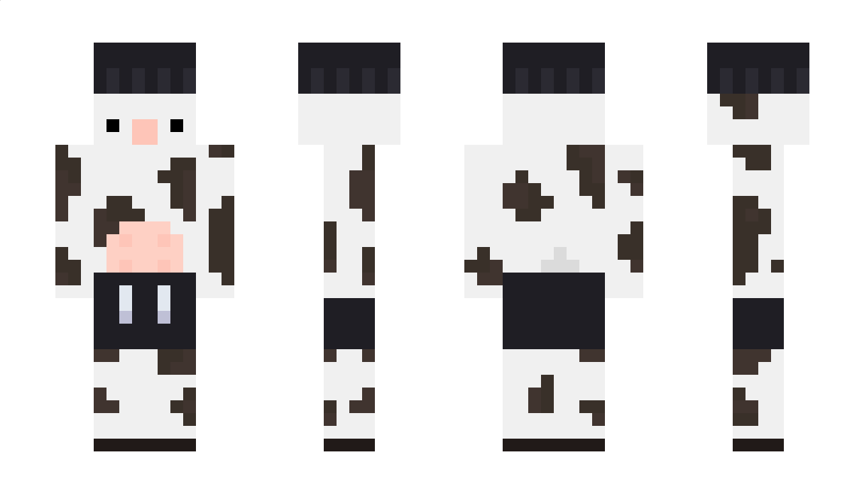 finnicc Minecraft Skin