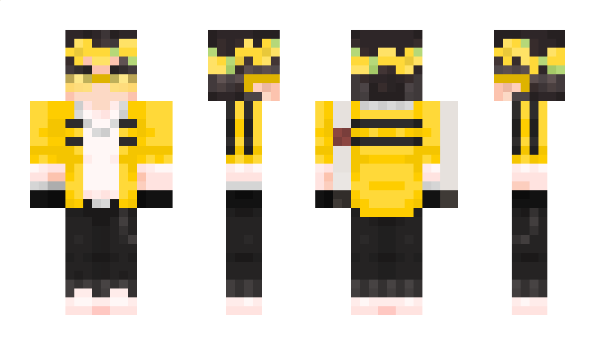 DVD_Kot Minecraft Skin