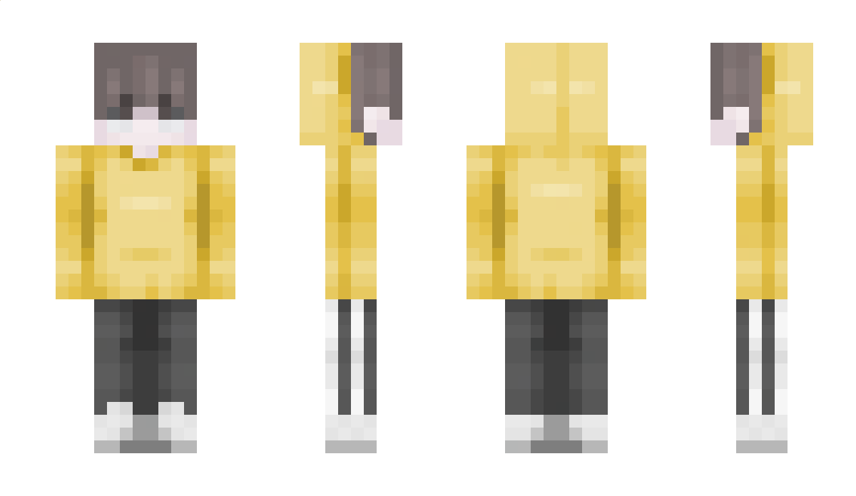 Magnetis Minecraft Skin