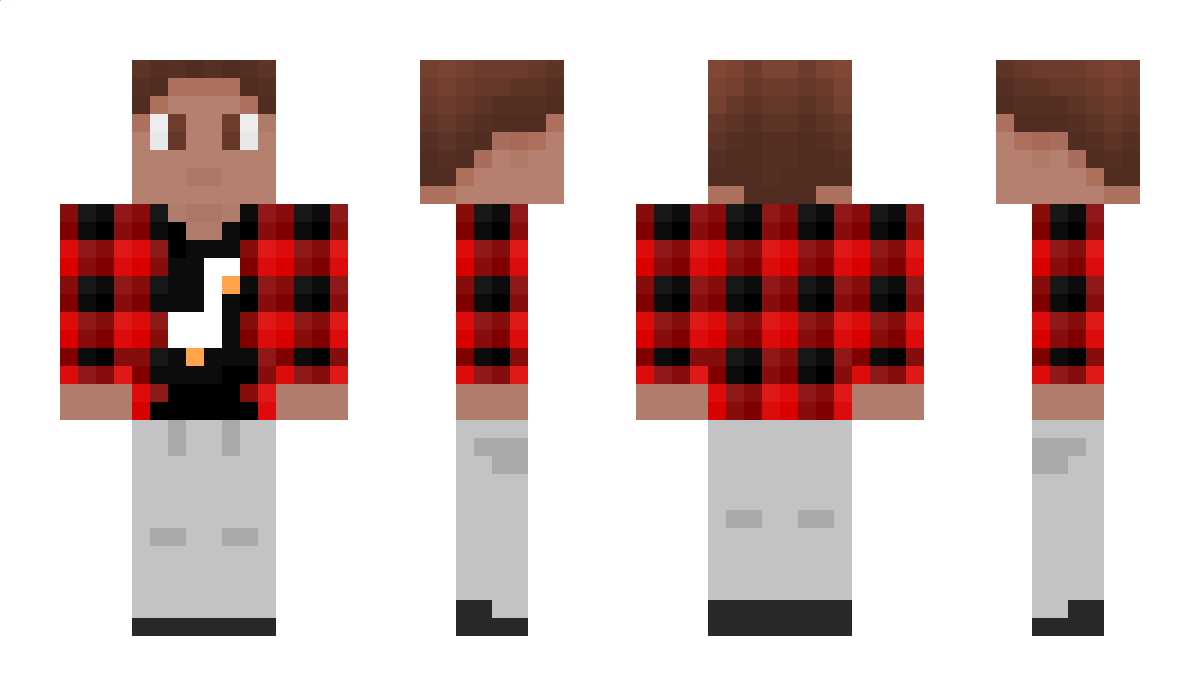 HDletson Minecraft Skin