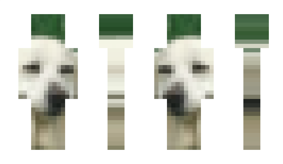 Vnow Minecraft Skin