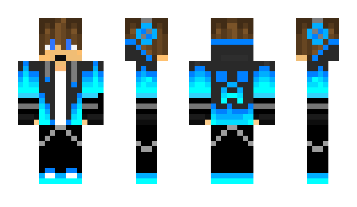 AnimsForFun Minecraft Skin