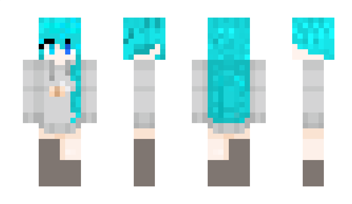 DreamRider Minecraft Skin