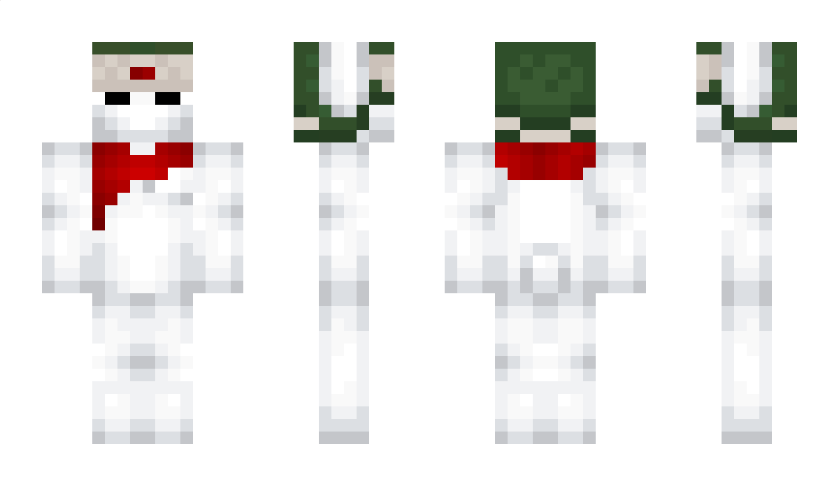 Fellqw Minecraft Skin