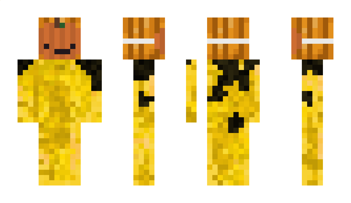 EinfxchPommes Minecraft Skin