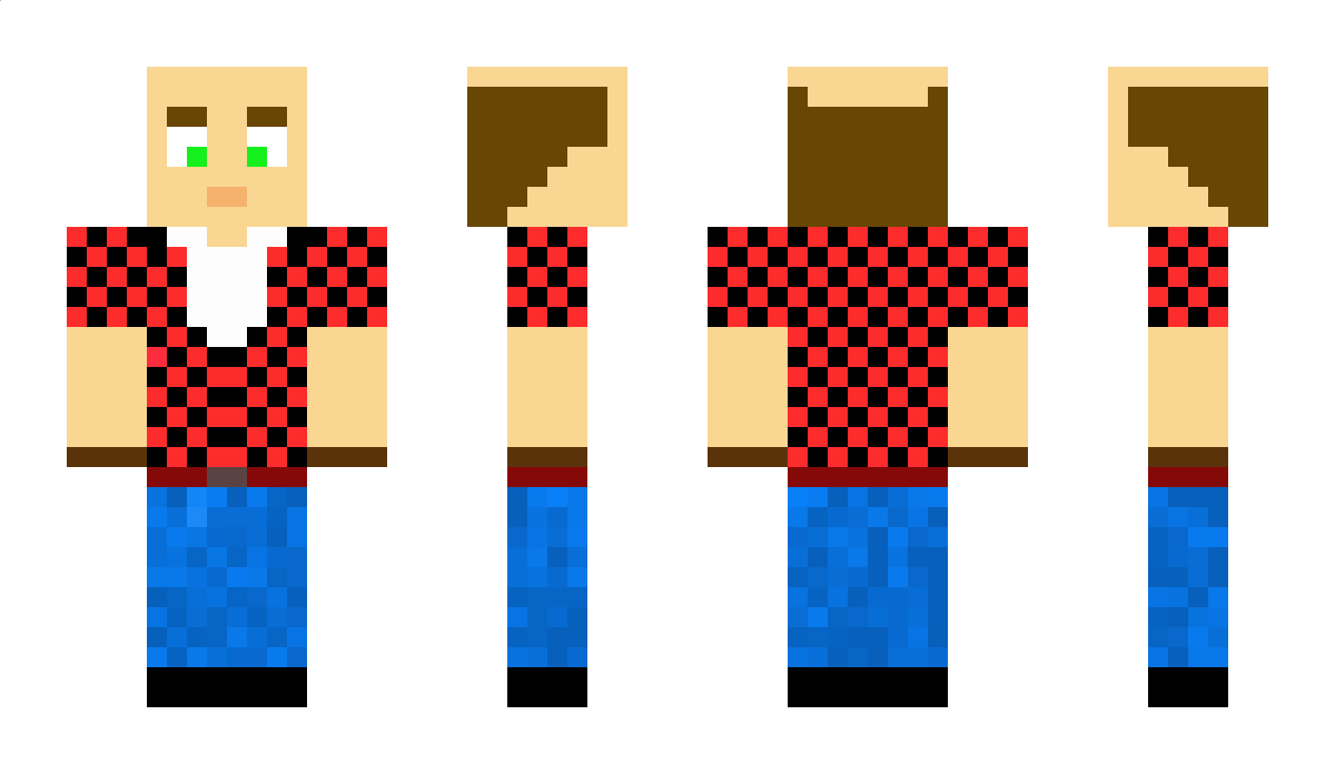 paswort Minecraft Skin