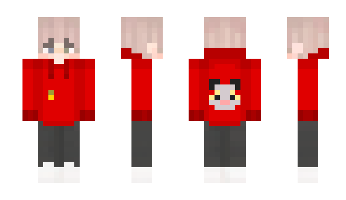 SebiGSW Minecraft Skin