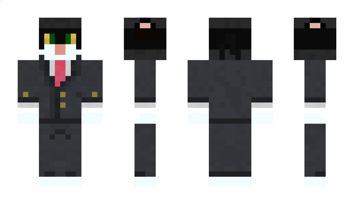 warcat123 Minecraft Skin