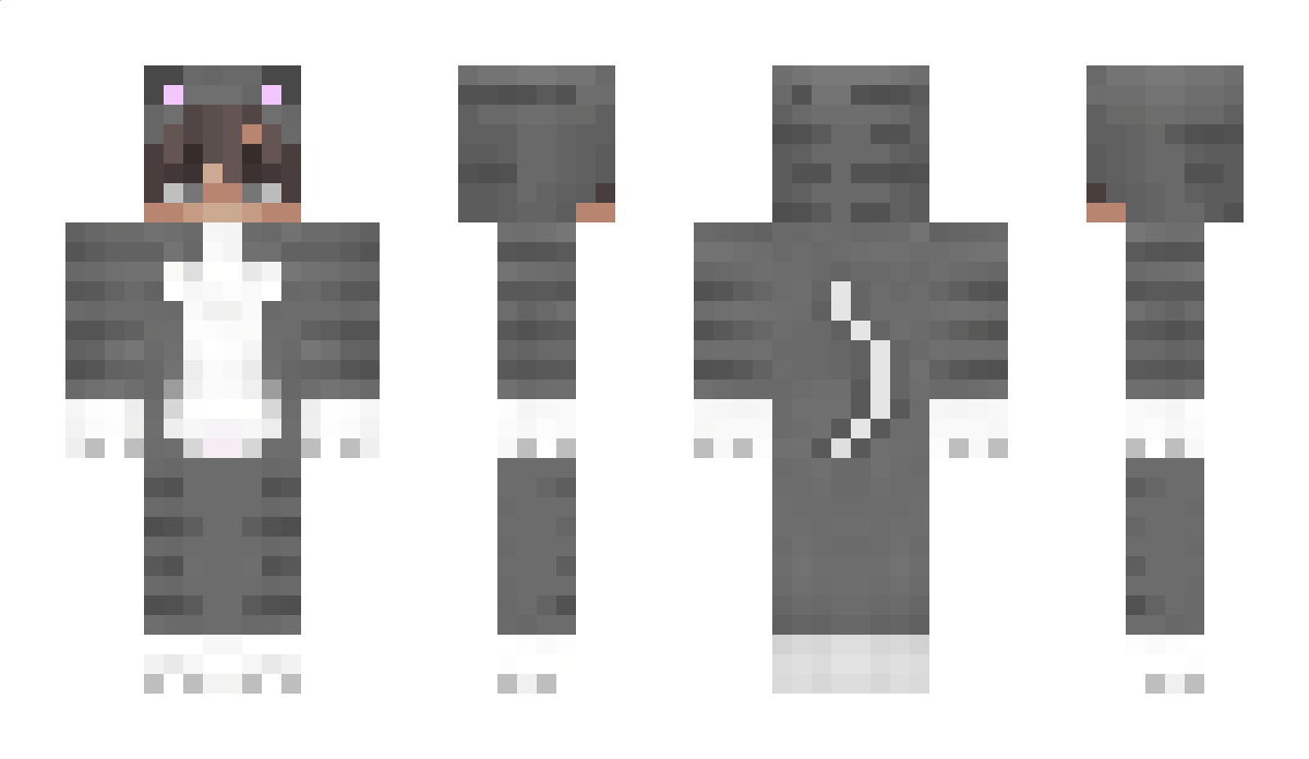 Petless Minecraft Skin