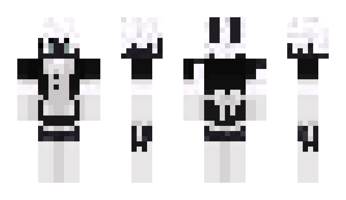 Salt442 Minecraft Skin