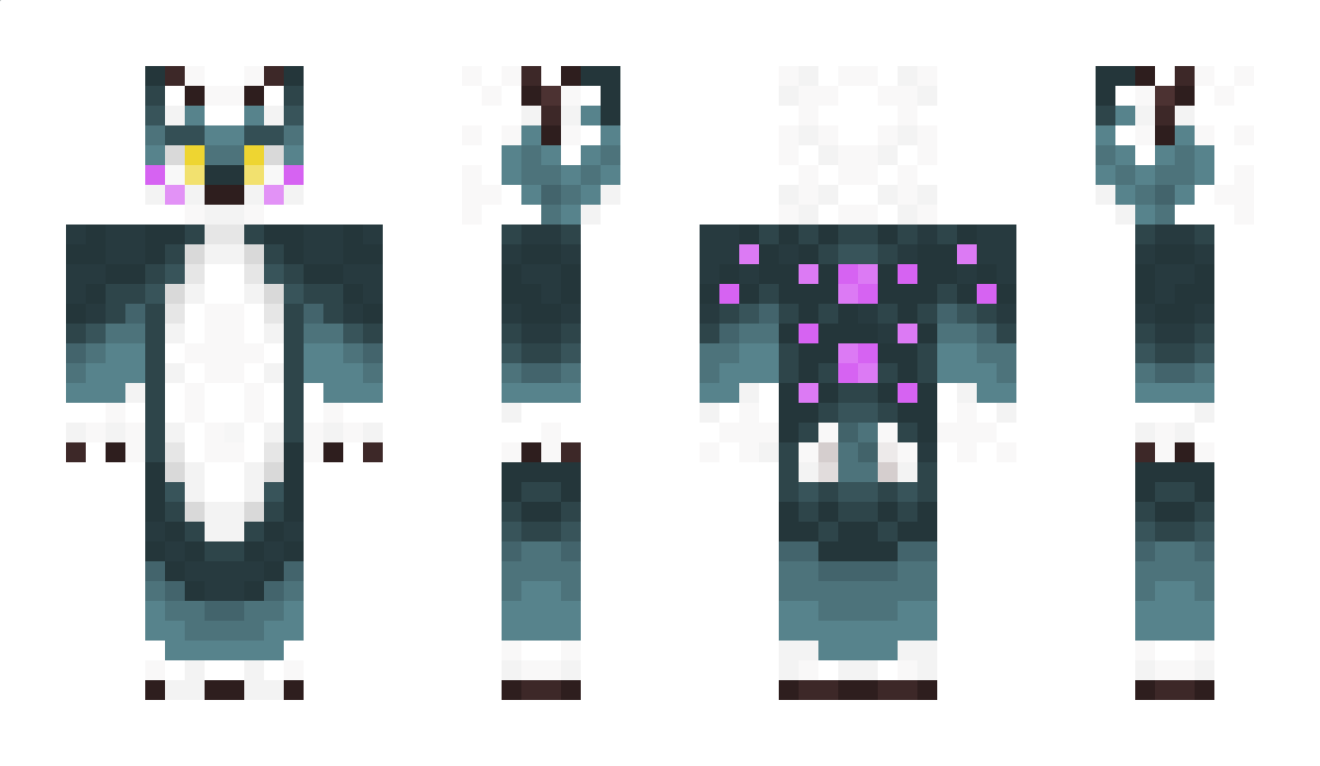 TippyDisc911 Minecraft Skin