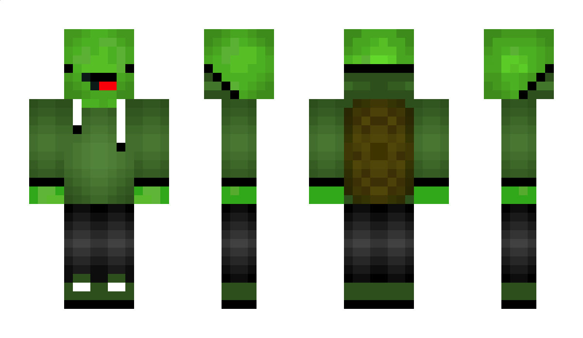 TurtleMc0 Minecraft Skin