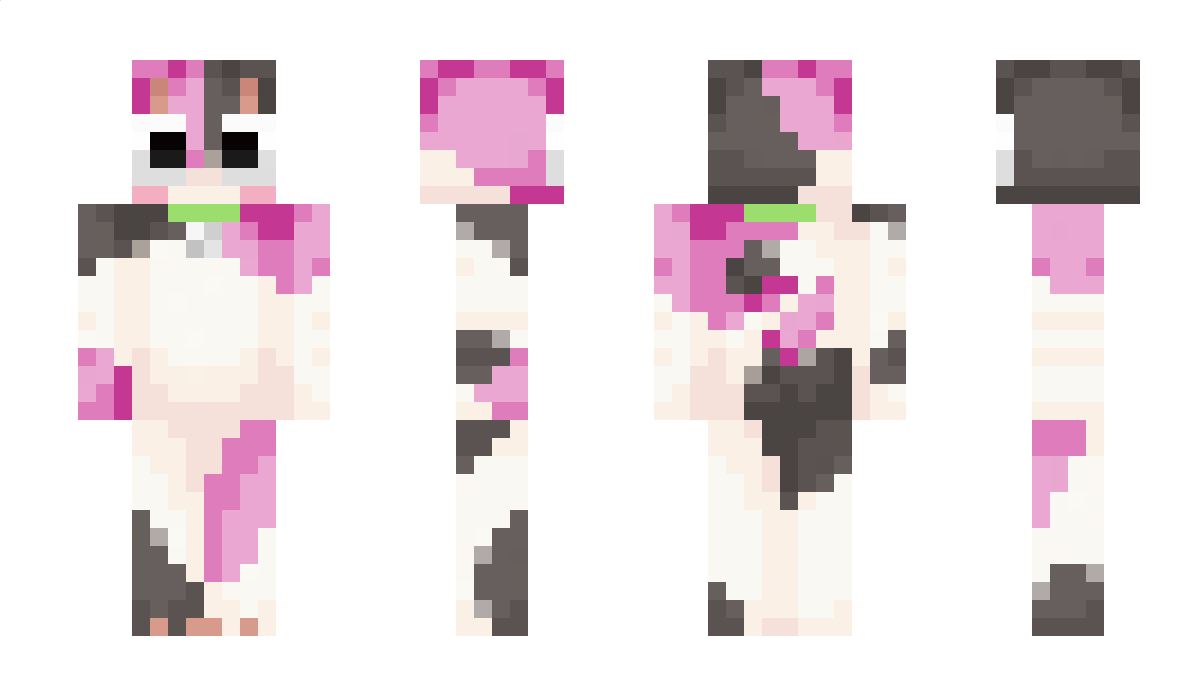 NErdycAt_ Minecraft Skin