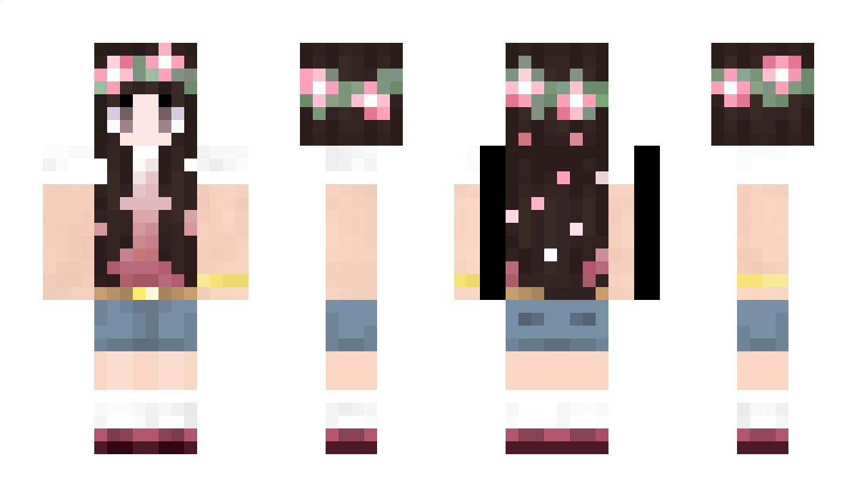 hoply Minecraft Skin