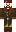 Dist Minecraft Skin