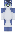 RR2342 Minecraft Skin