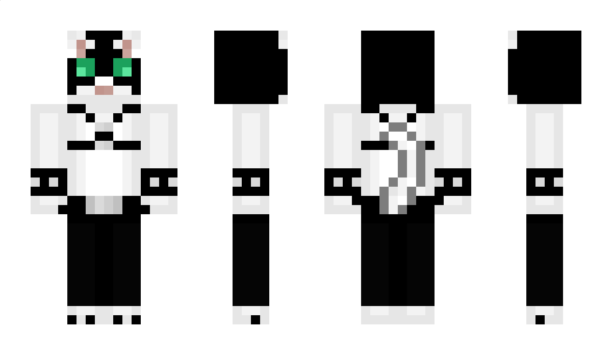 The_Acolyte Minecraft Skin