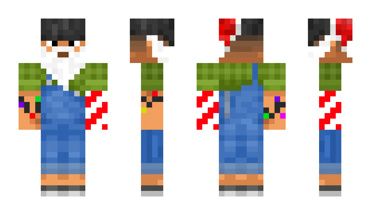 bbronin Minecraft Skin