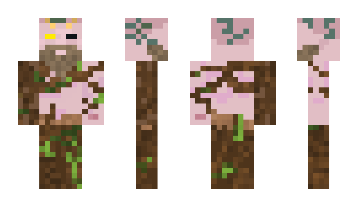 Alirexa Minecraft Skin