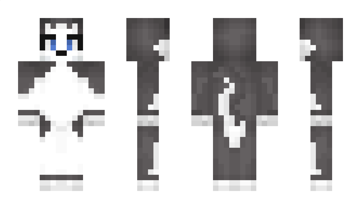 Discario Minecraft Skin