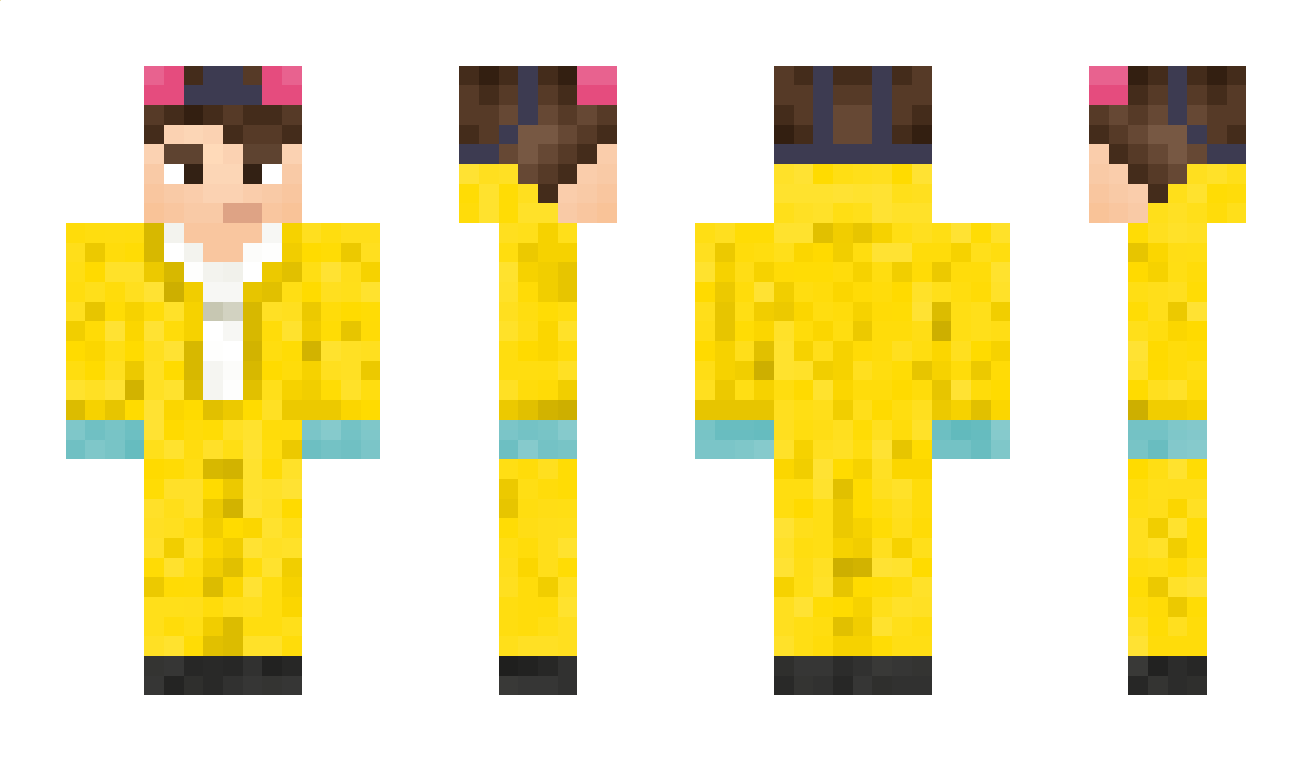 SteevN_ Minecraft Skin