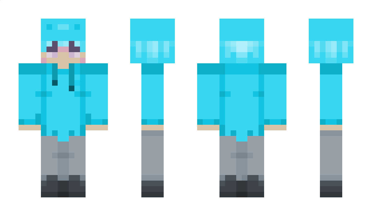 Louis_check2 Minecraft Skin