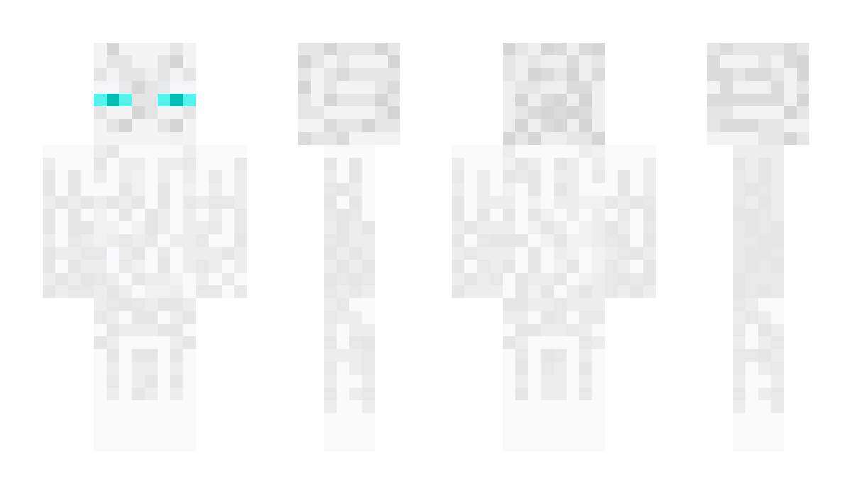 Mr_T_09 Minecraft Skin