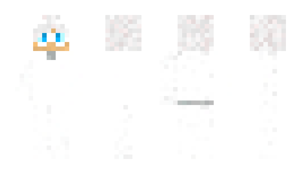 30030230 Minecraft Skin