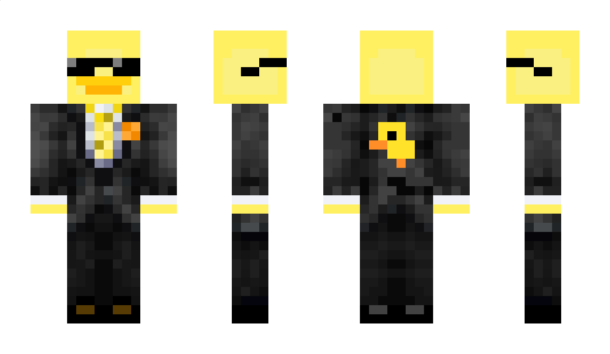 DubiousDuckling Minecraft Skin