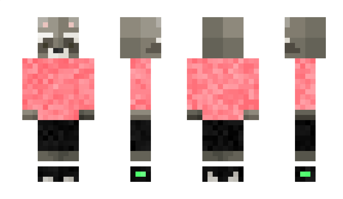 raccocooon Minecraft Skin