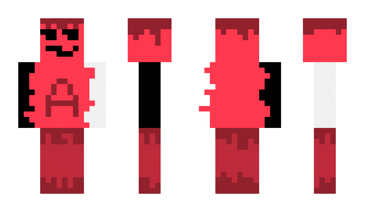 hck901 Minecraft Skin