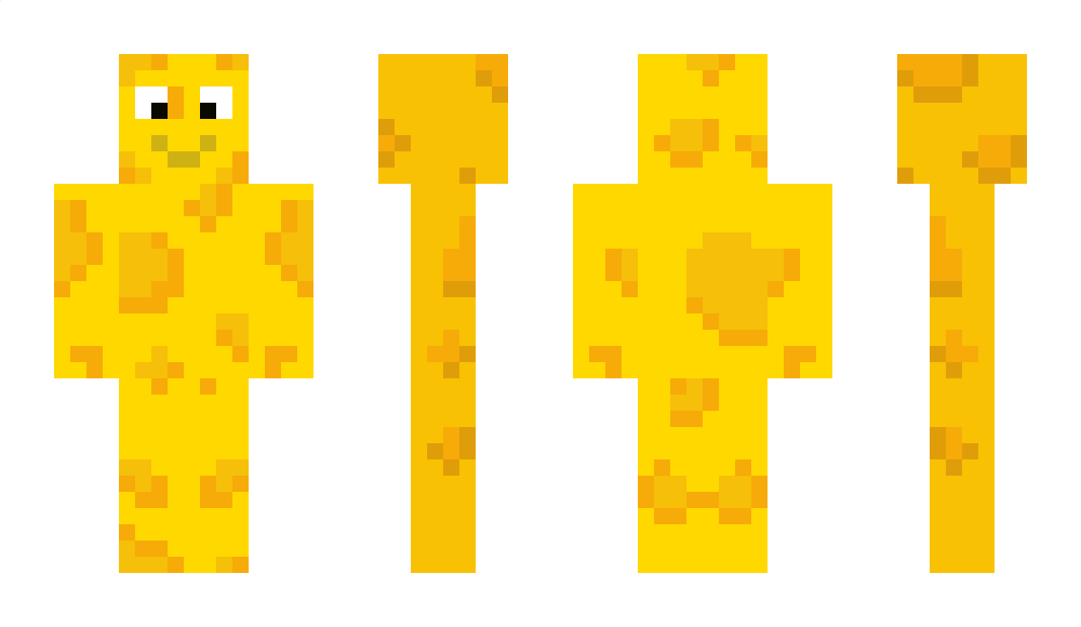 Touringh Minecraft Skin