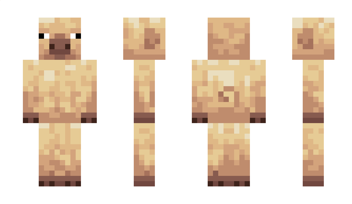 ElytraPig Minecraft Skin