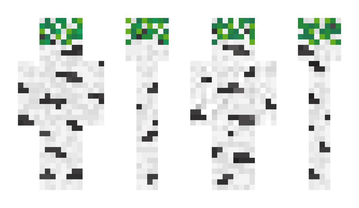 247PartyDude Minecraft Skin