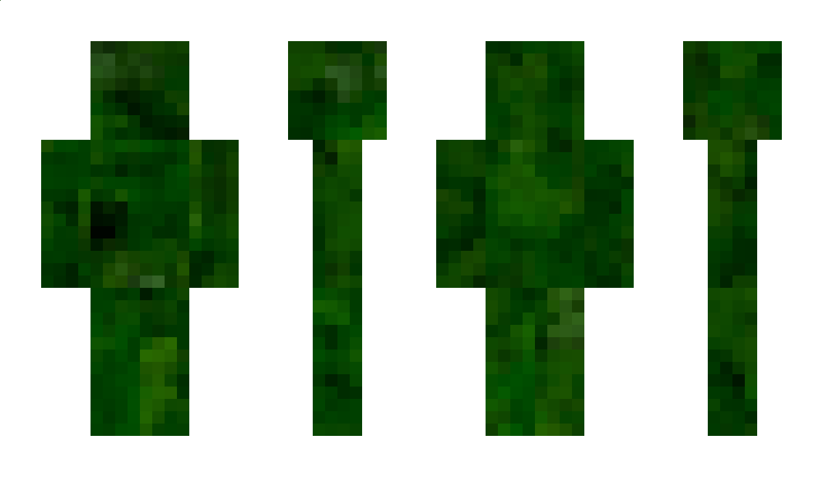 Axi Minecraft Skin